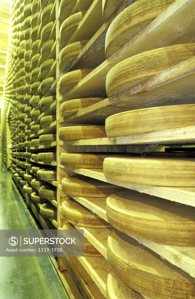 Cheese wheels in a cellar, Doubs, France