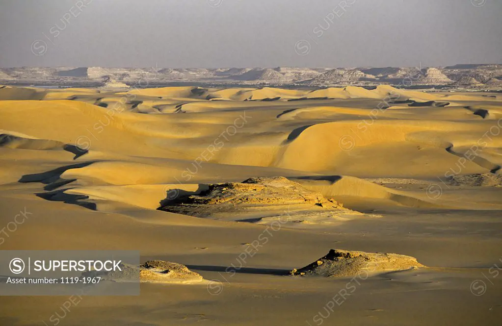 Sand dunes in a desert, Siwa Oasis, Egypt