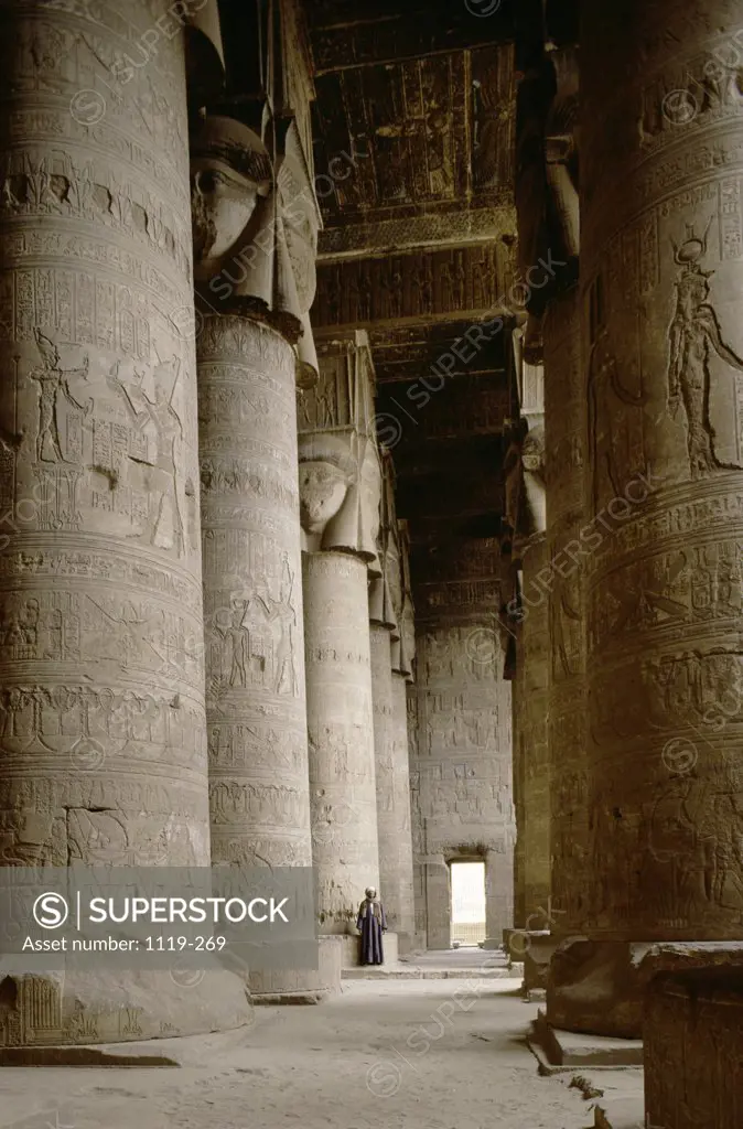 Temple of Dendera  Dendera  Egypt