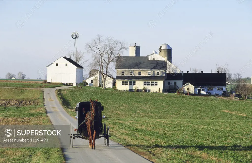 Horse-drawn Buggy Pennsylvania USA