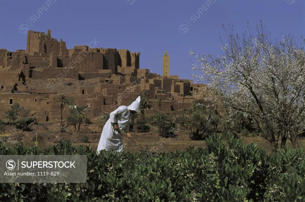Tifoultout Morocco   