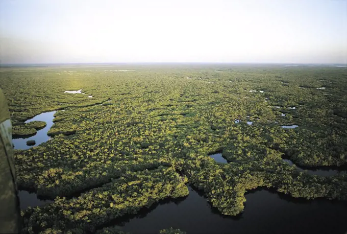 Everglades Florida USA