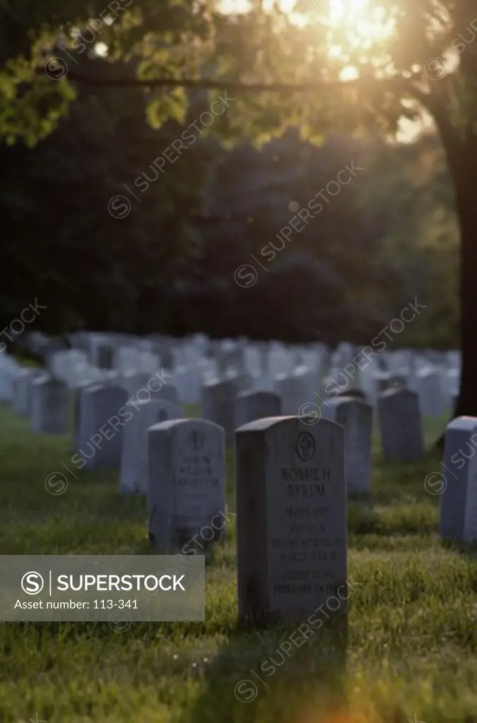 Arlington National Cemetery ArlingtonVirginiaUSA