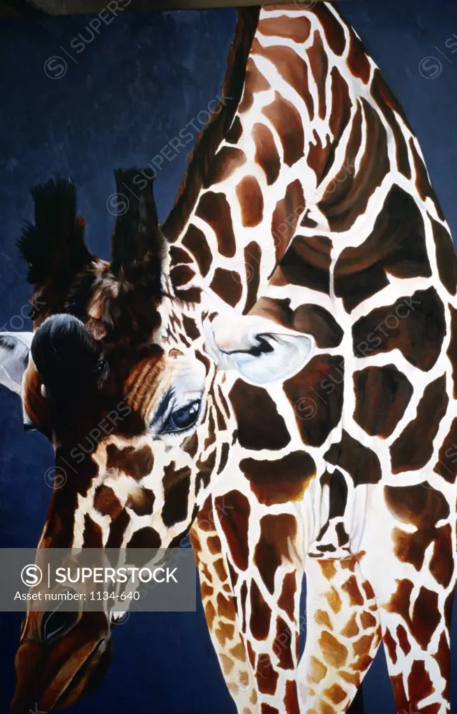 Title Unknown (Giraffe) by Maureen De Rouin, 20th century, USA, Florida, West Palm Beach, Chisholm Gallery