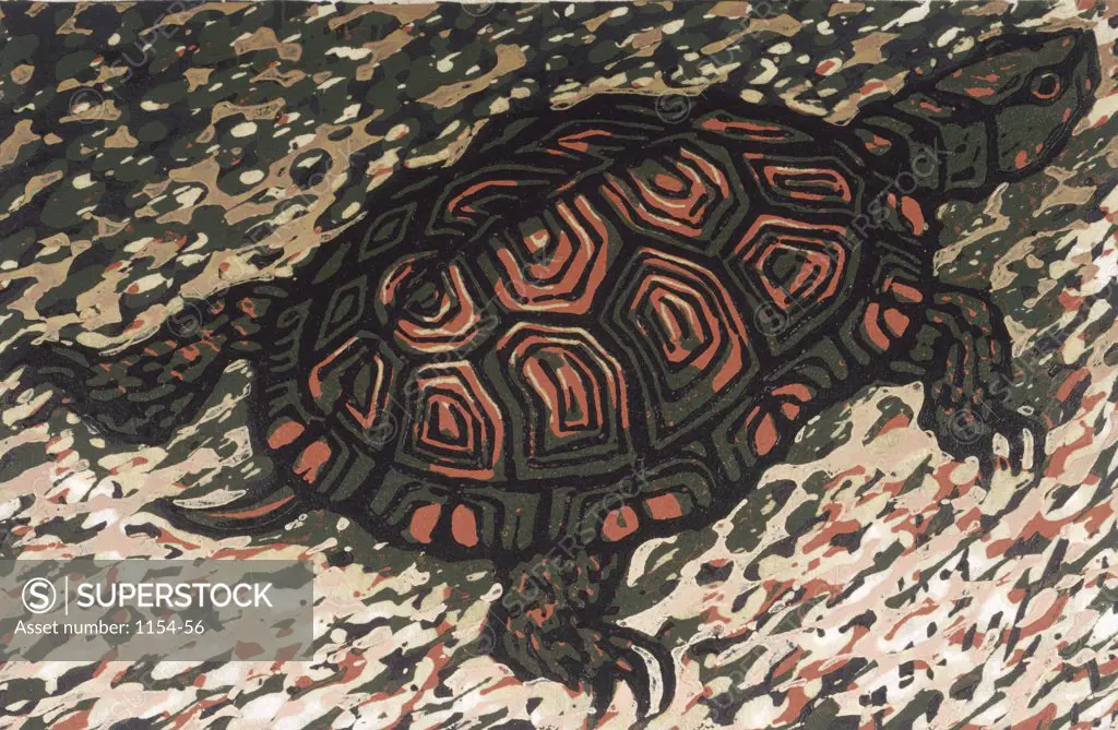 Moving Turtle by Barry Wilson, woodcut print, (born 1929)