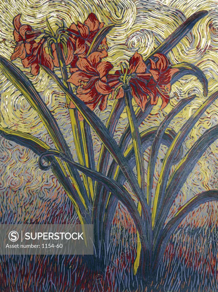 Amaryllis by Barry Wilson, woodcut print, born in 1961