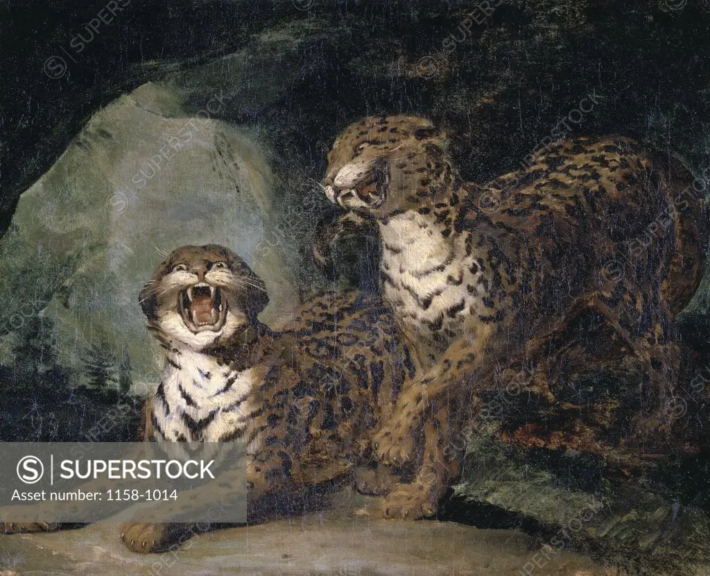 Deux Leopards Two Leopards 1817-20 Theodore Gericault (1791-1824 French) Musee des Beaux-Arts, Rouen, France