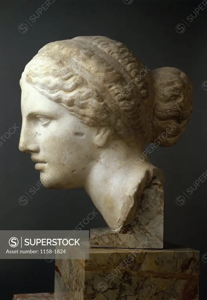 Profile Of A Woman's Head  Greek Art 