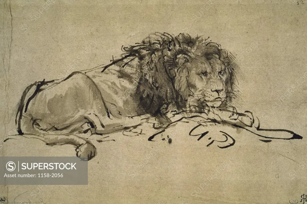 Lion  17th C.  Rembrandt Harmensz van Rijn  (1606-1669/Dutch)  Musee du Louvre, Paris  