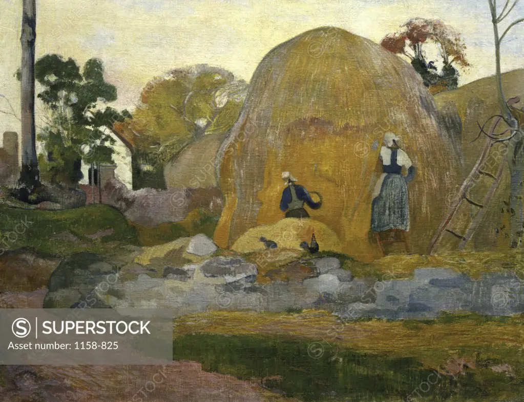 The Yellow Haystacks  (Les Meules Jaunes)  19th C.  Paul Gauguin (1848-1903/French)  Musee d'Orsay, Paris 