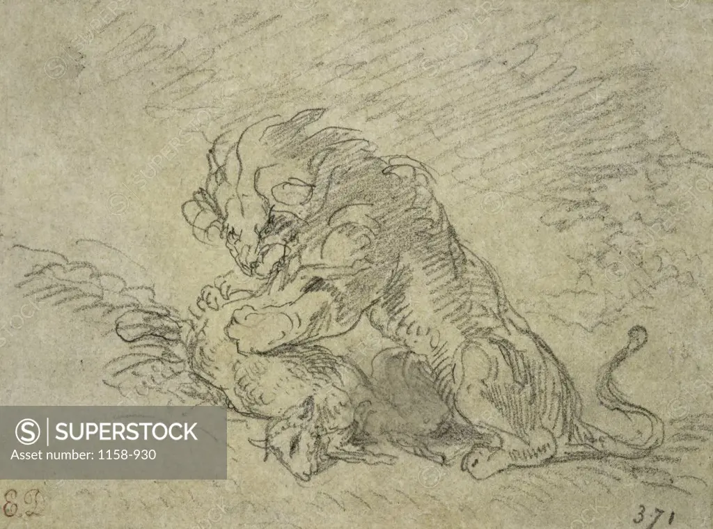 Lion Consuming a Sheep  Eugene Delacroix (1798-1863/French) Drawing  Musee des Beaux-Arts, Rouen  