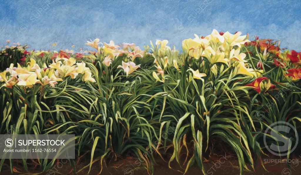 Day Lilies  1992 Helen J. Vaughn (20th C. American) Pastel on board Private Collection 
