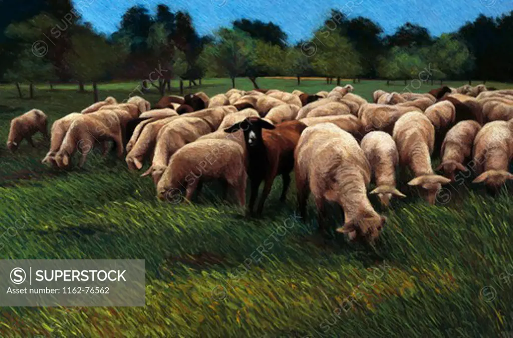 Sheep in Germany by Helen J. Vaughn, pastel on board, 1997, 20th century, collection of artist