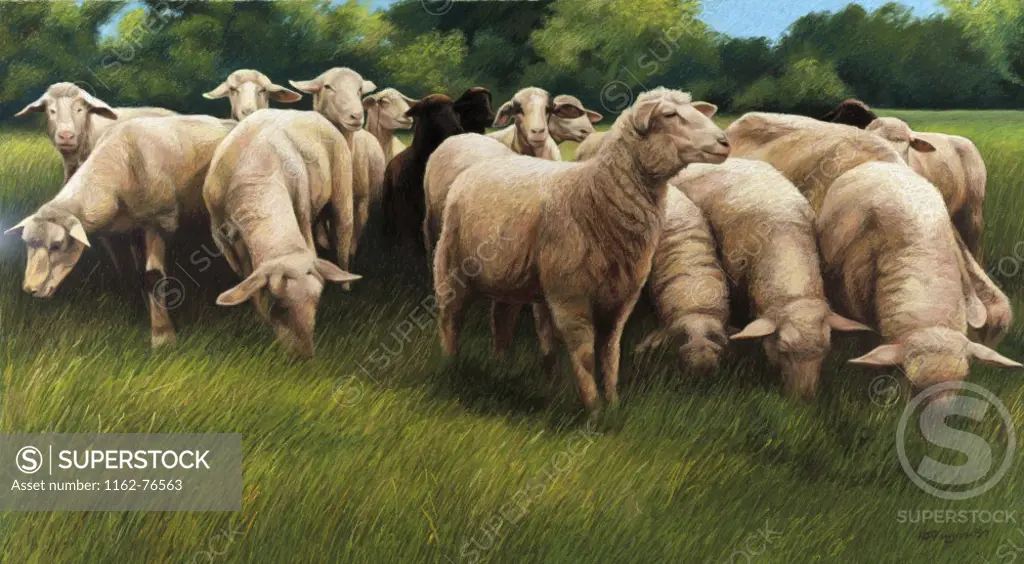 All the Sheep Came to the Party by Helen J. Vaughn, pastel on board, 1997, 20th century, private collection