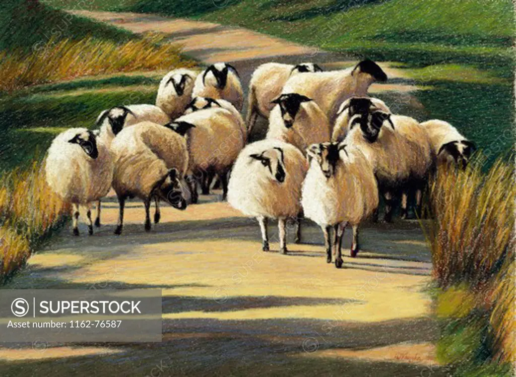 Sheep in Galway by Helen J. Vaughn, pastel and watercolor on paper, 1998, 20th century, collection of artist
