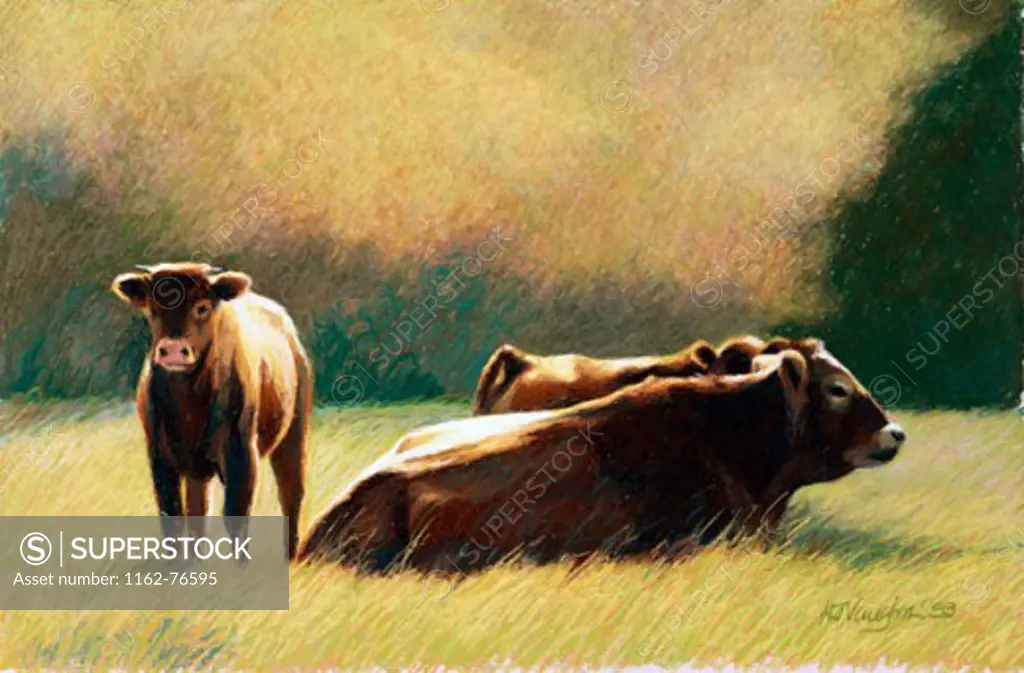 Cows Resting, A Study 1999 Helen J. Vaughn (20th C. American) Pastel on paper Private Collection