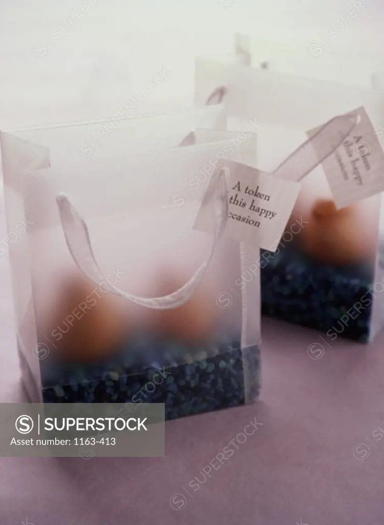 Close-up of two shopping bags with tags