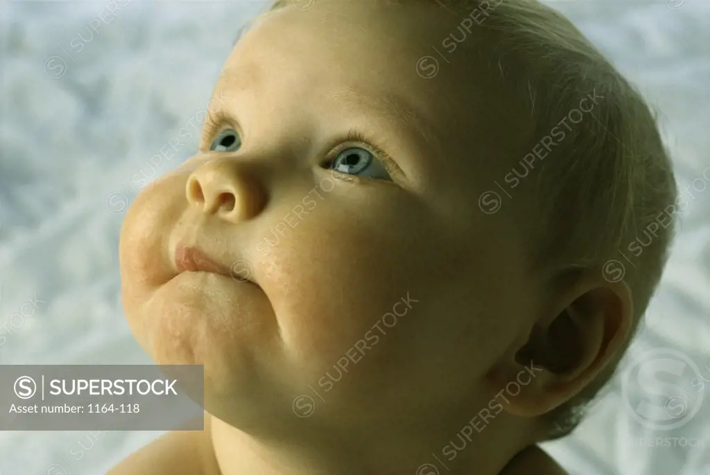 Close-up of a baby boy looking up