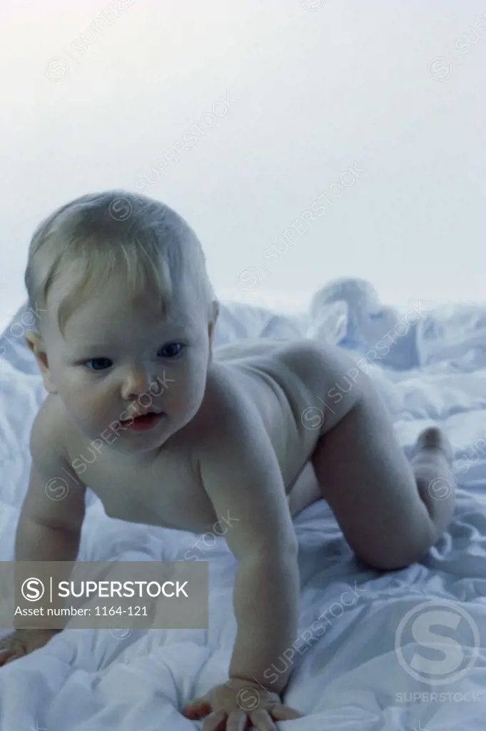 Close-up of a baby boy crawling