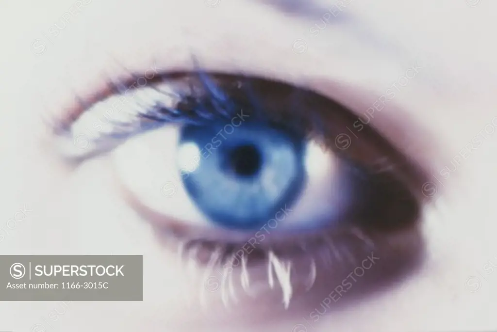 Close-up of a woman's eye