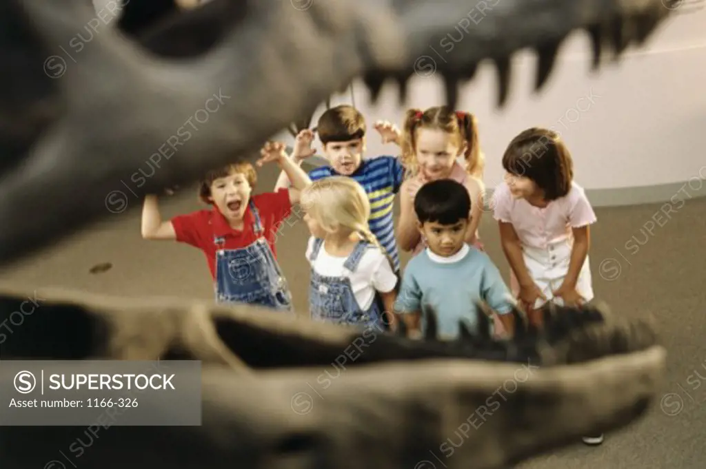 High angle view of children looking at the skeleton of a dinosaur