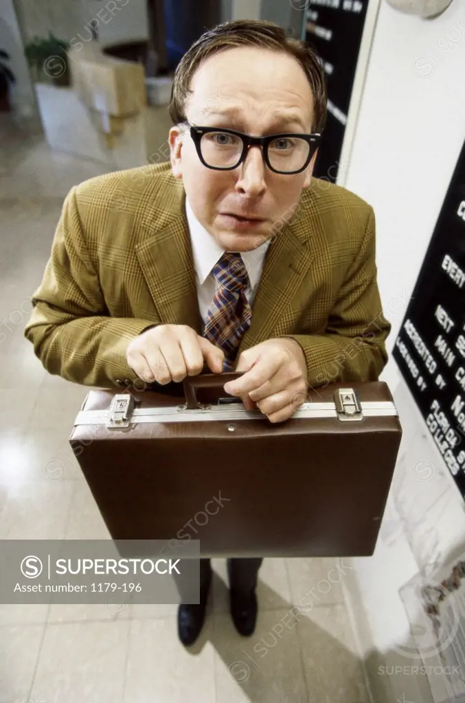 Portrait of a businessman holding a briefcase