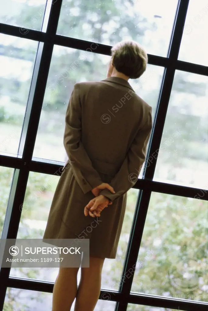 Rear view of a businesswoman looking through a window