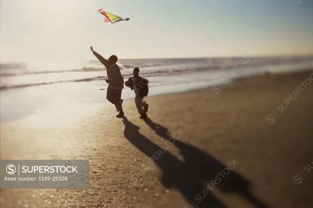Silhouette of a man flying a kite with his son on the beach