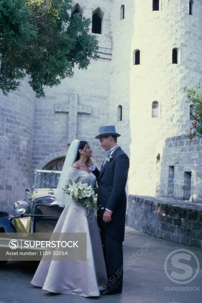 Side profile of a newlywed couple standing in front of a castle