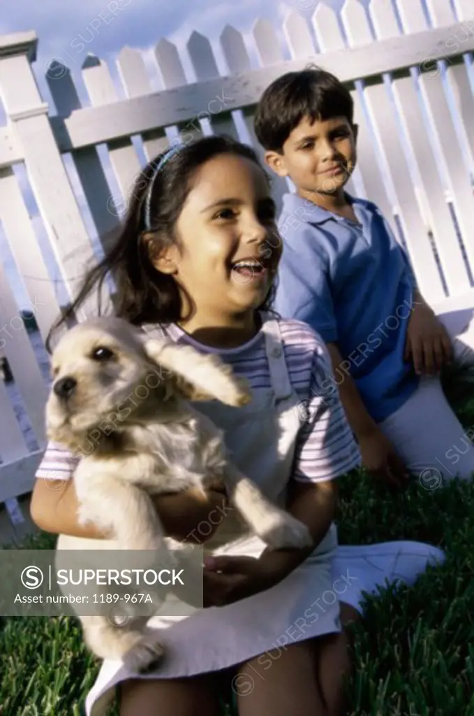 Boy and a girl playing with a dog on a lawn