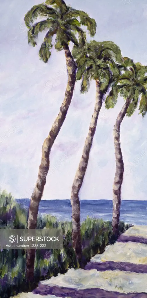 Three Palms by Diantha York-Ripley, acrylic on canvas, 2002