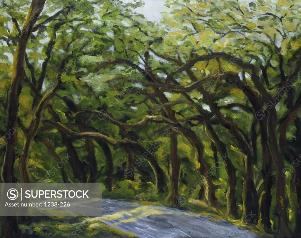 Tree Umbrellas 1999 Diantha York-Ripley (20th C. American) Acrylic on canvas 