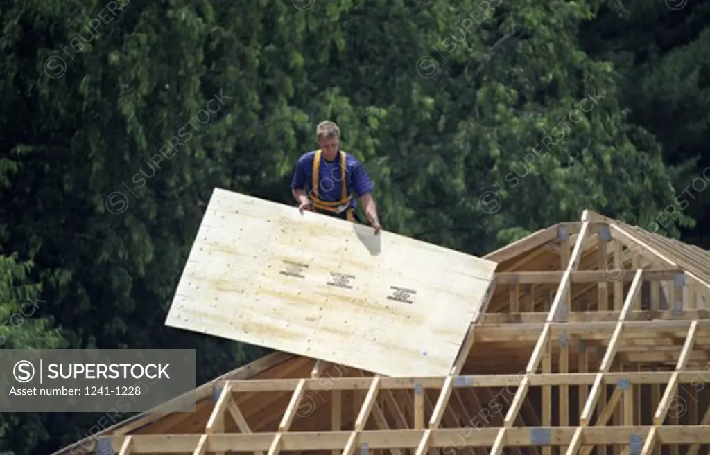 Construction worker standing on a roof top holding a sheet of plywood