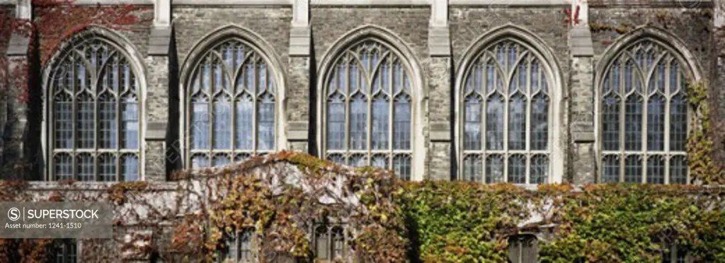 Windows of a university building, University of Toronto, Toronto, Ontario, Canada