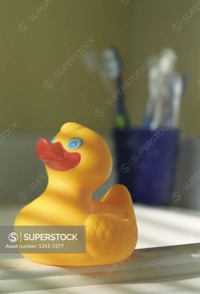 Close-up of a rubber duck at the edge of a bathroom sink