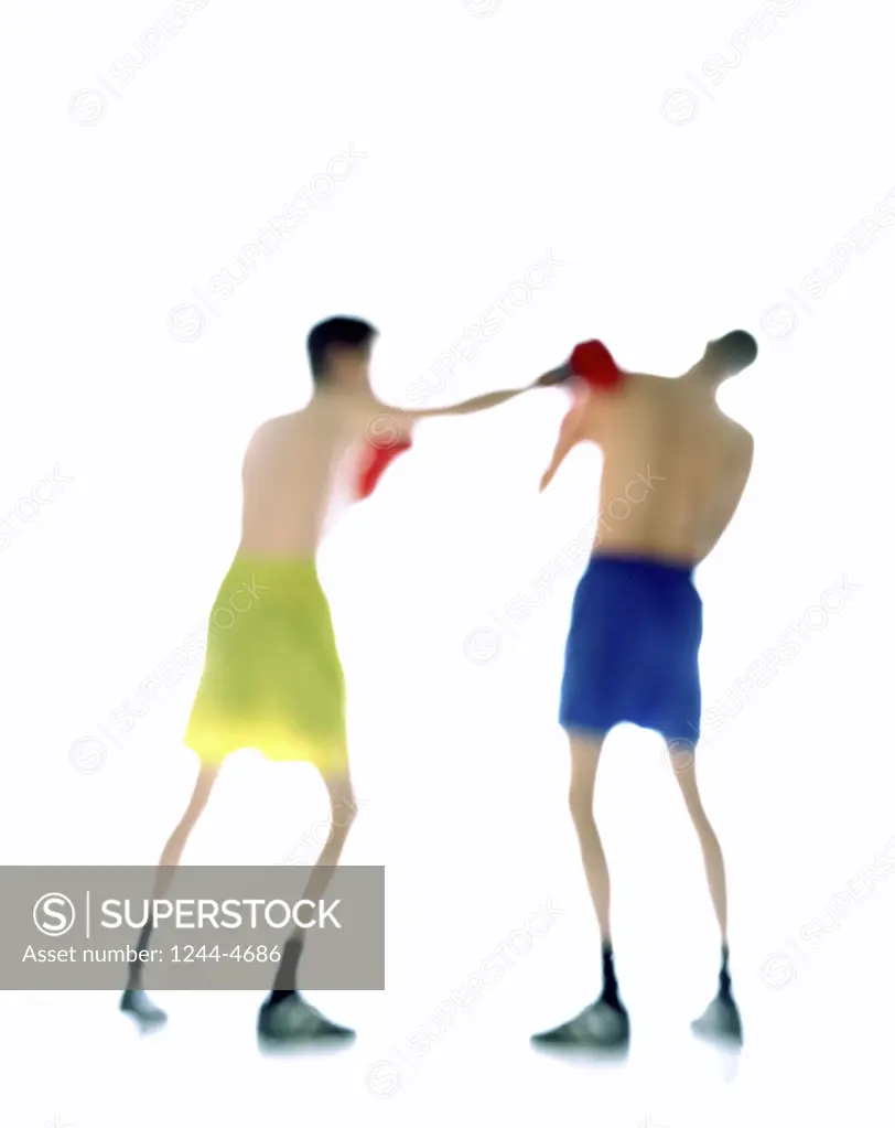 Studio shot of two male boxers sparing