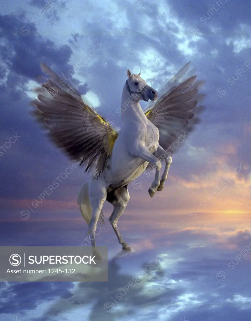 Pegasus    