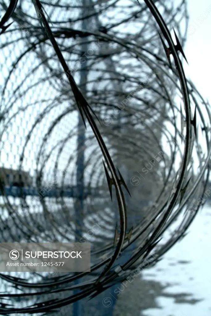 Close-up of a barbed wire fence