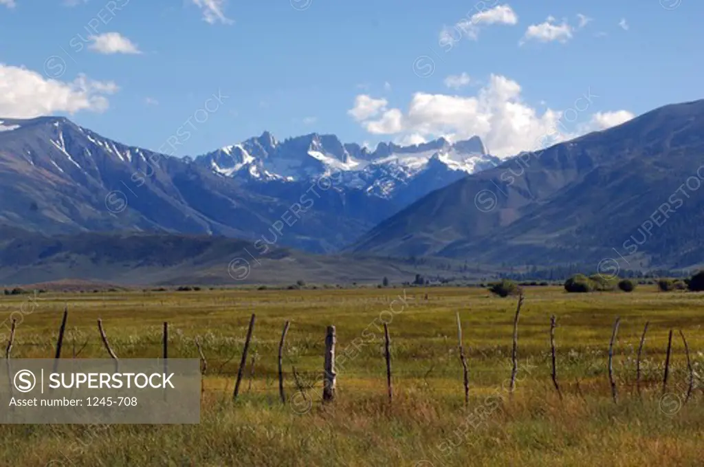 Meadow with mountains in the background, Californian Sierra Nevada, Central Valley, California, USA