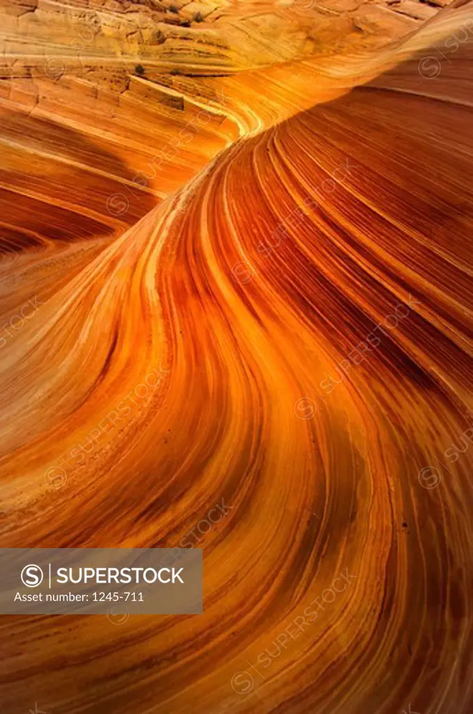 Wave pattern on sandstone rock formations, Coyote Buttes, Paria Canyon-Vermilion Cliffs Wilderness, Arizona-Utah, USA