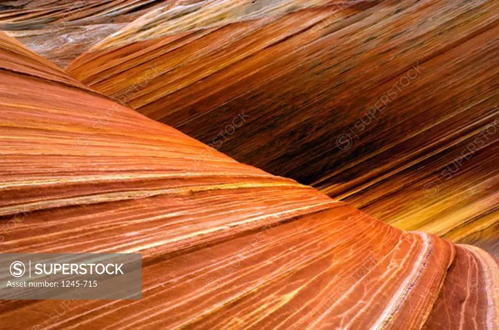 Wave pattern on sandstone rock formations, Coyote Buttes, Paria Canyon-Vermilion Cliffs Wilderness, Arizona-Utah, USA