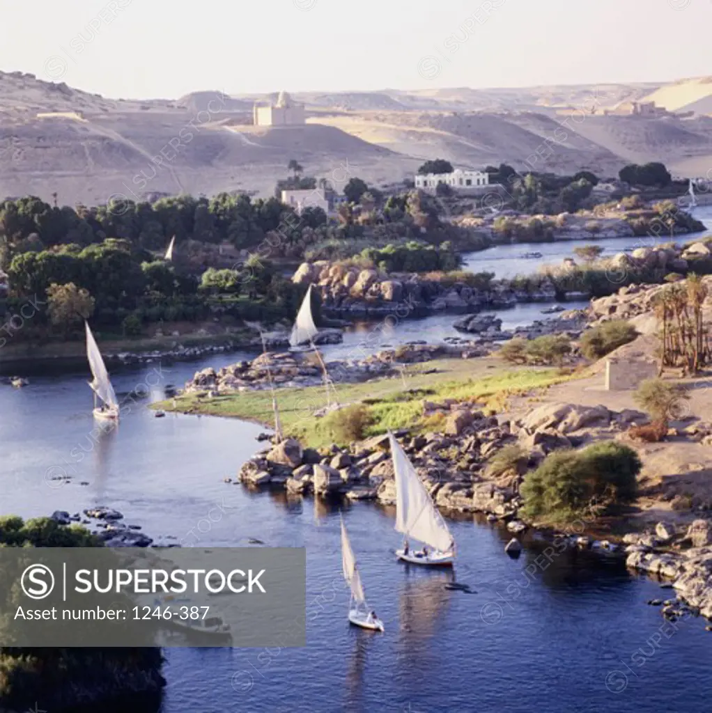 High angle view of felucca boats in the river, Nile River, Aswan, Egypt