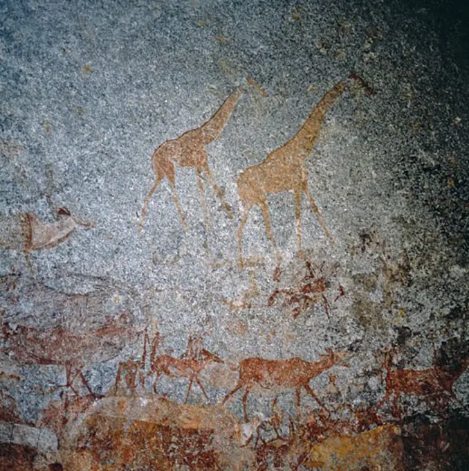 Bushman Rock PaintingNswatugi CavesMatopos National ParkZimbabwe
