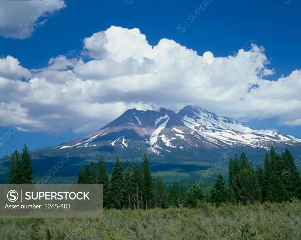 Mount ShastaShasta-Trinity National ForestCaliforniaUSA