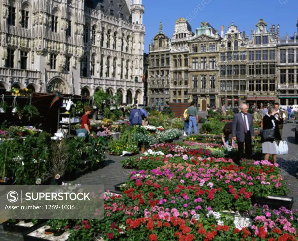 Flower market in a town square, Grand Place, Brussels, Belgium