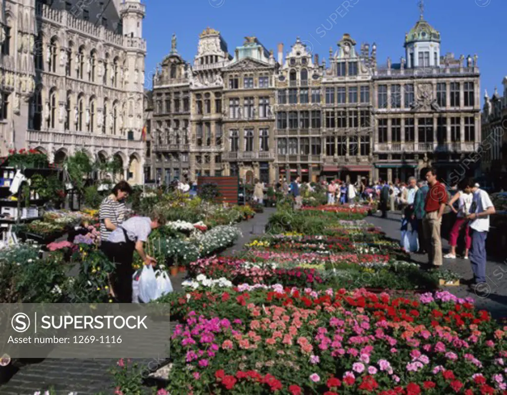 Flower market in a town square, Grand Place, Brussels, Belgium