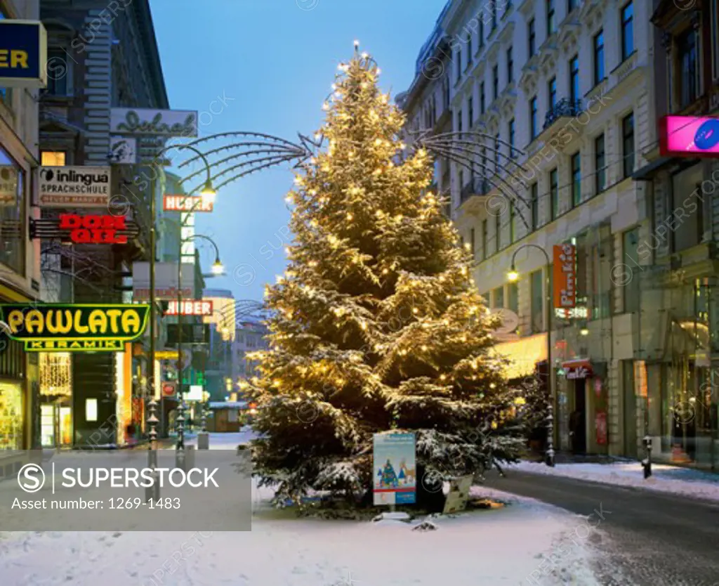 A decorated Christmas tree, Vienna, Austria