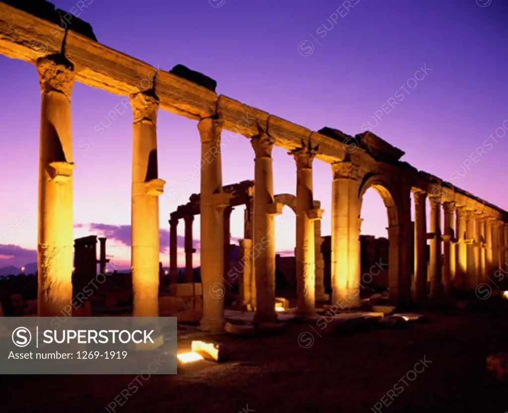 Great Colonnade Palmyra Syria