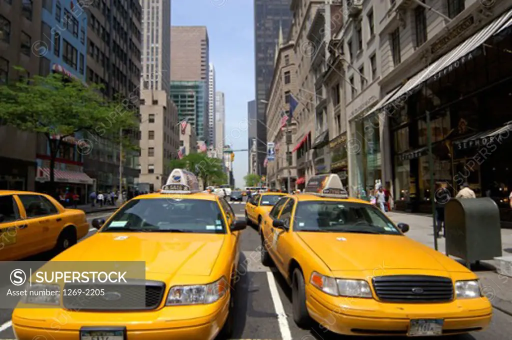 Yellow taxis on a street, Fifth Avenue, Manhattan, New York City, New York, USA