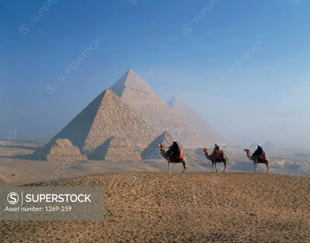 Three people riding on camels in a desert, Giza Pyramids, Giza, Egypt